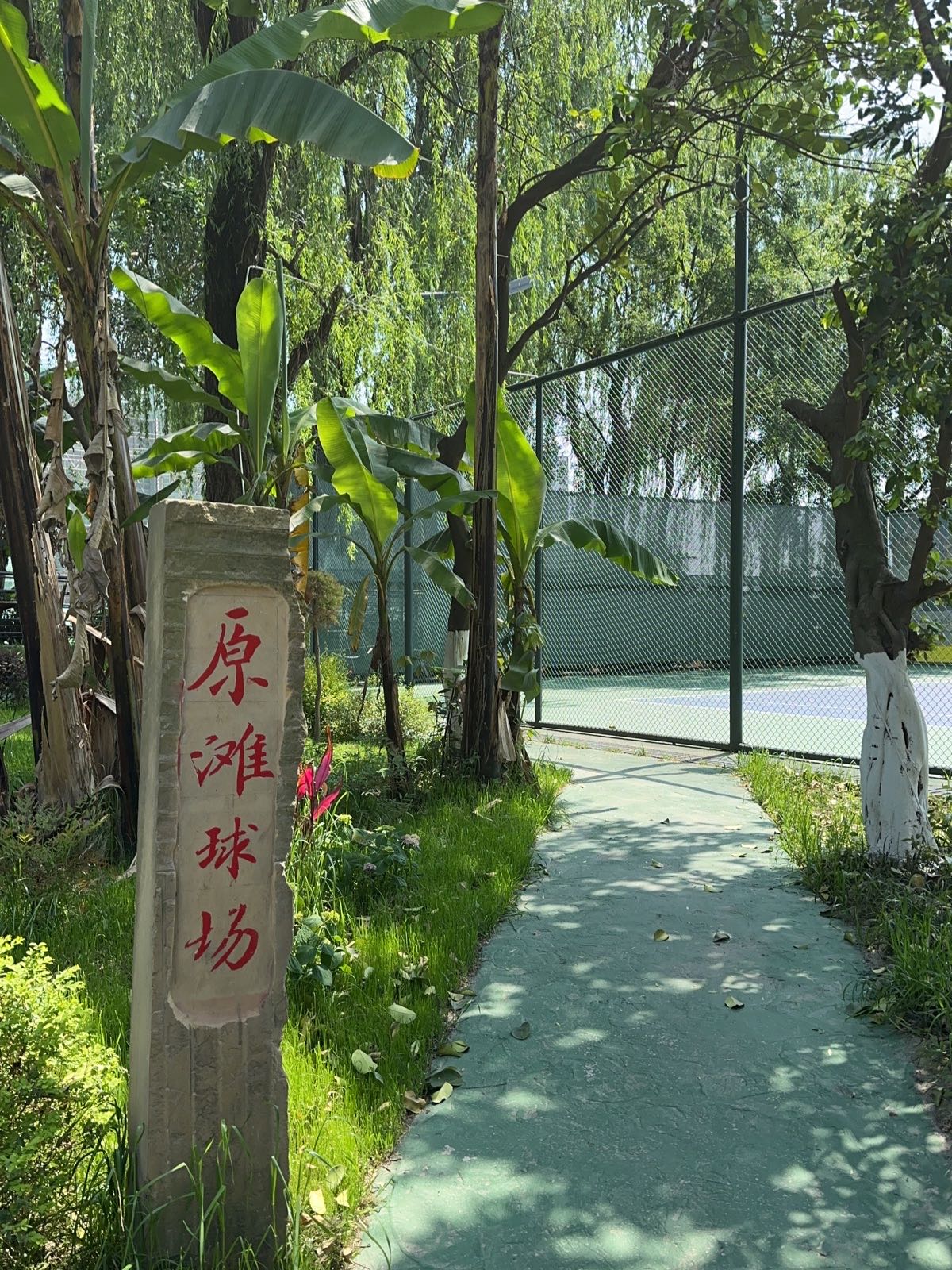 原滩球场