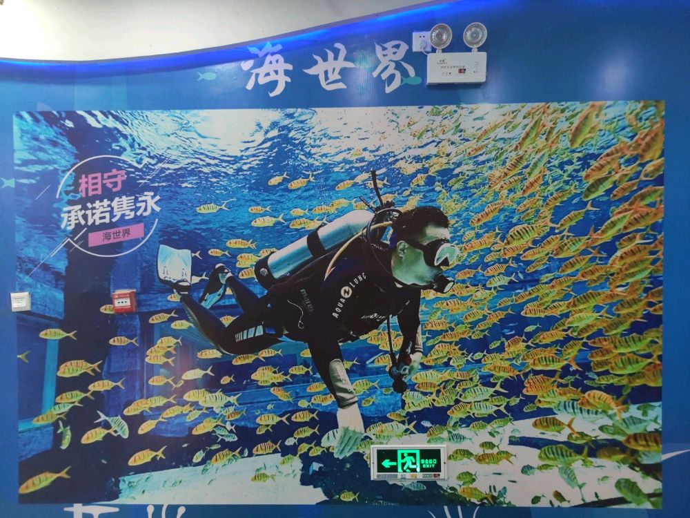 豪生水上运动俱乐部-海世界潜水