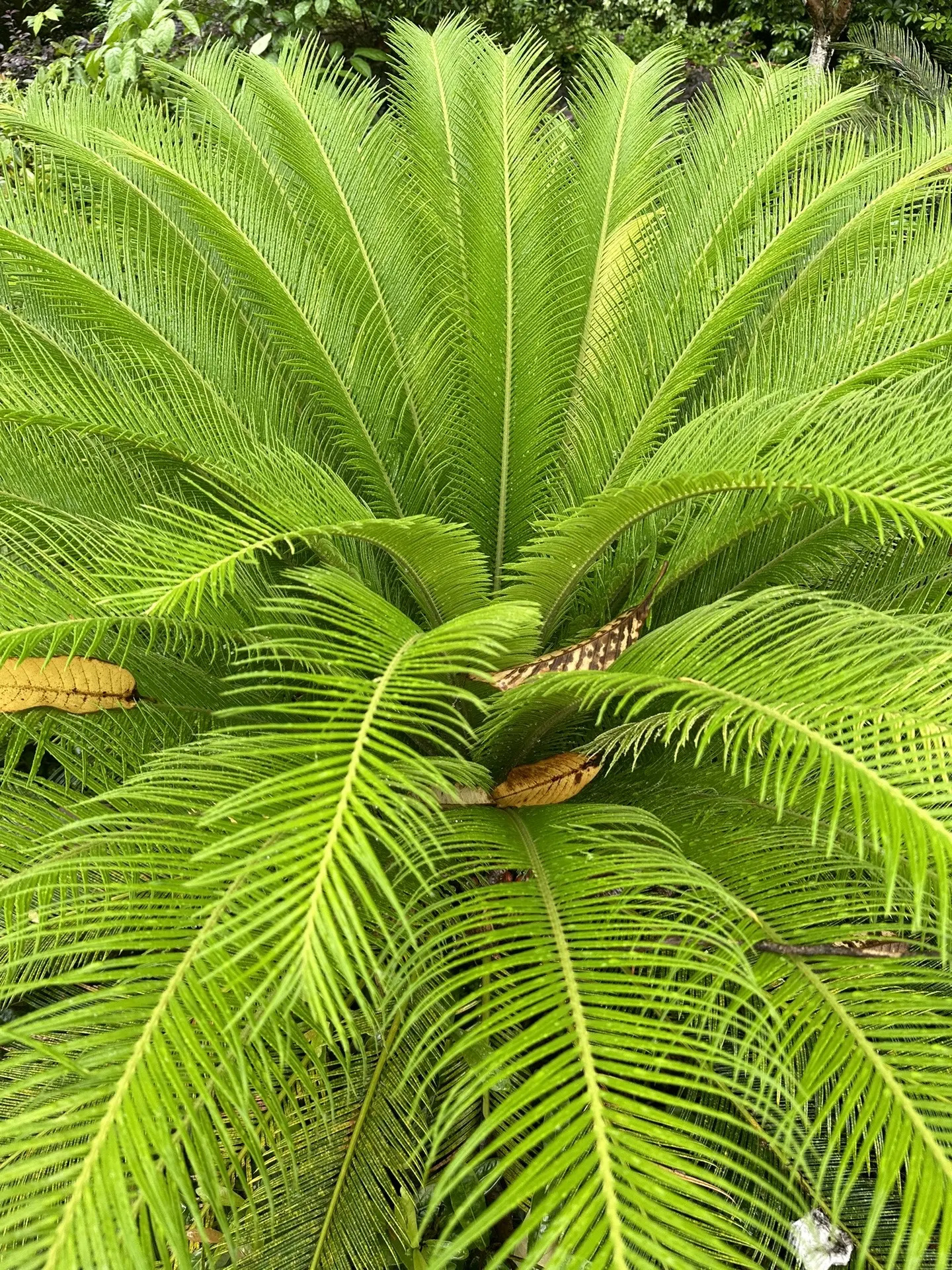 玉林市公务员小区