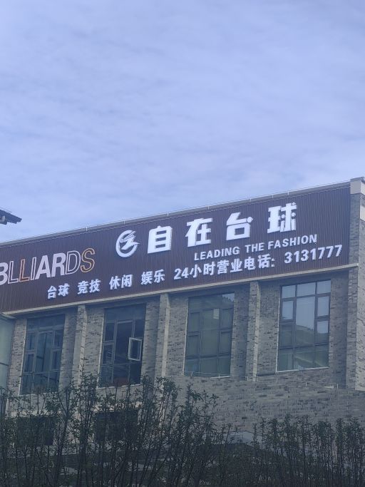 自在台球