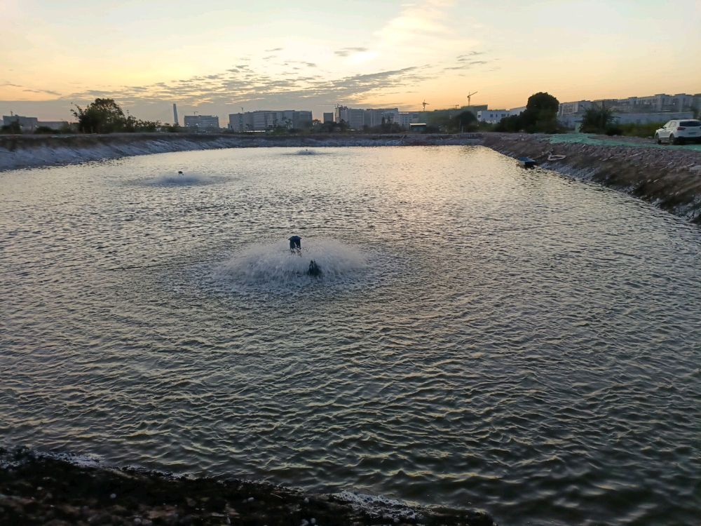 中山大雁岛大货钓场