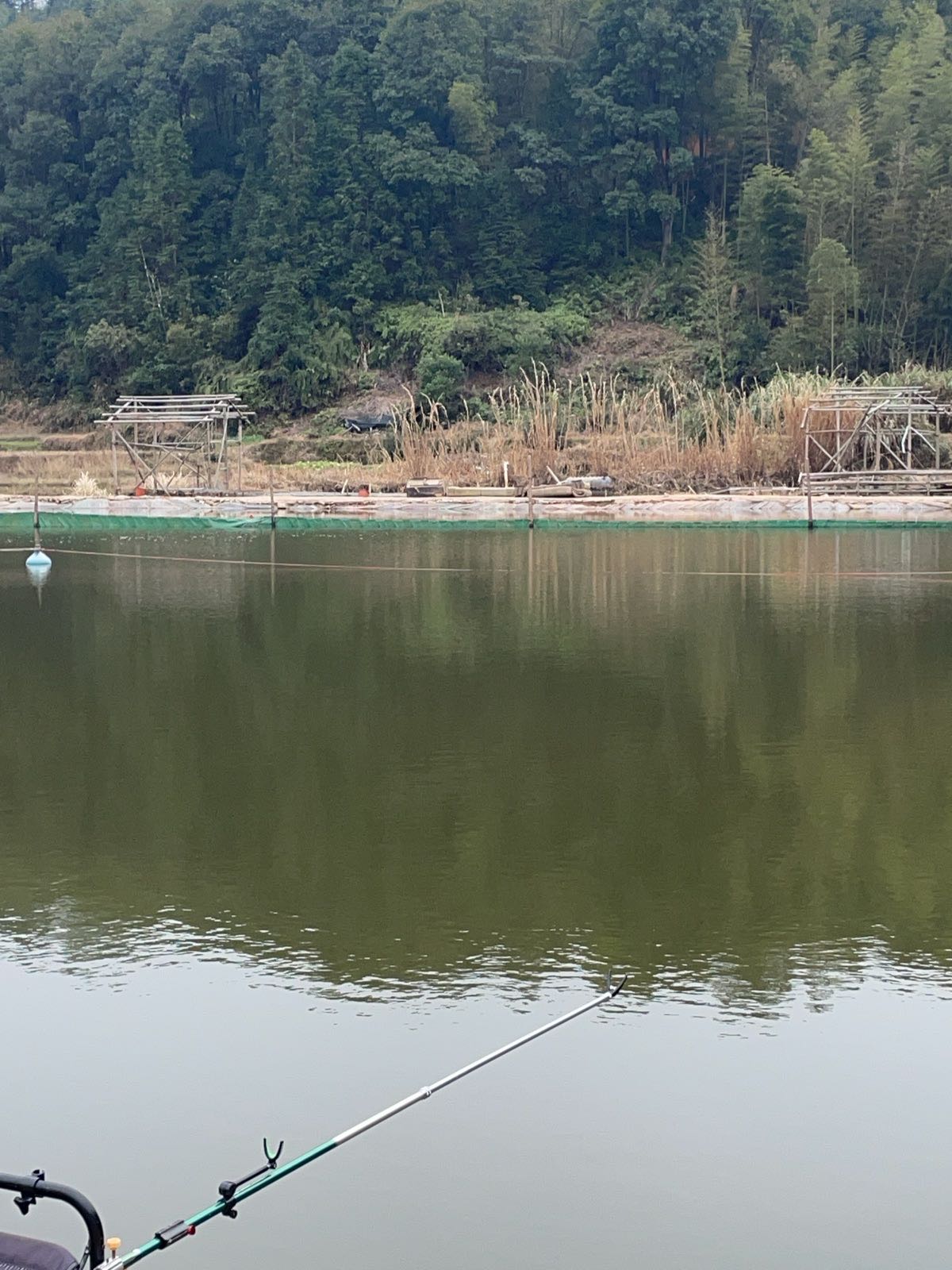 双才钓场