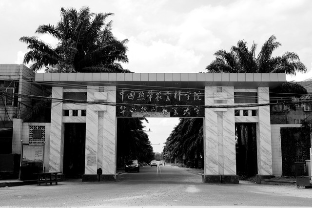 儋州市两院小学