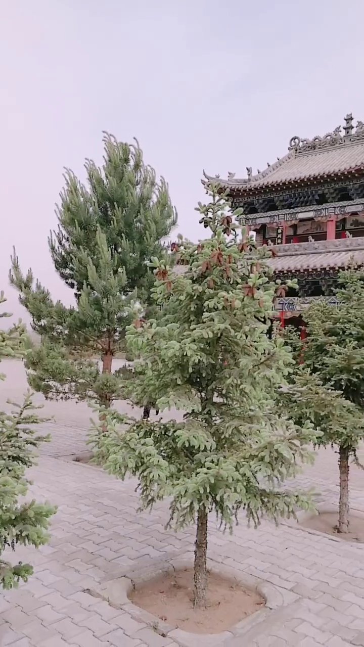 永灵寺