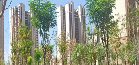 兰州恒大文化旅游城-7区