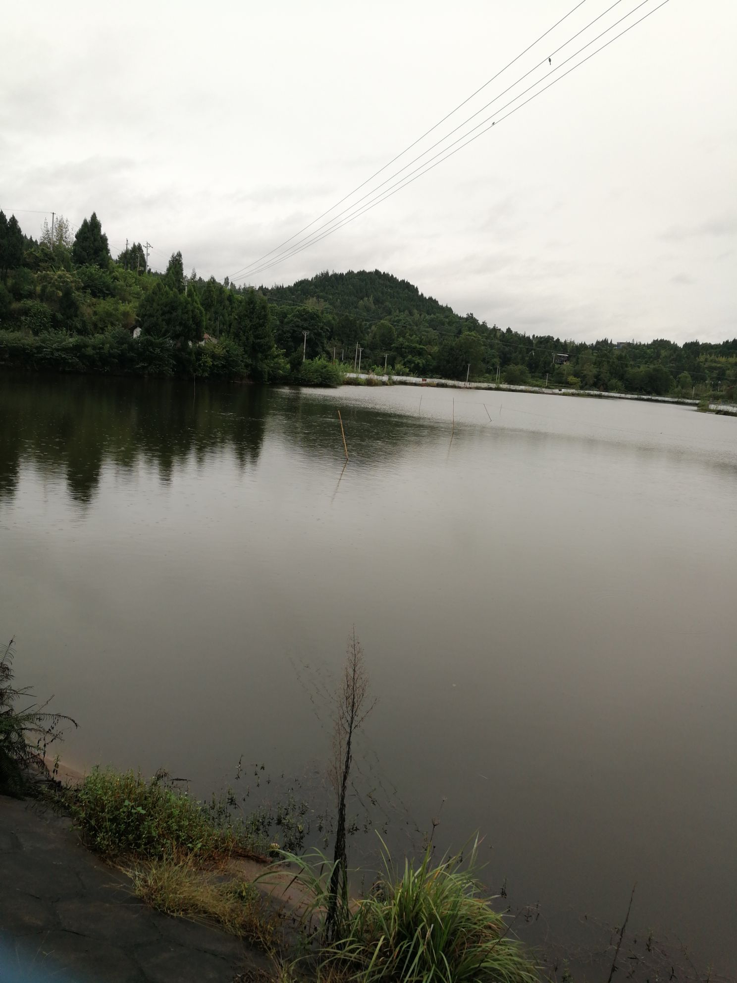 四川省南充市南部县彭家沟水库
