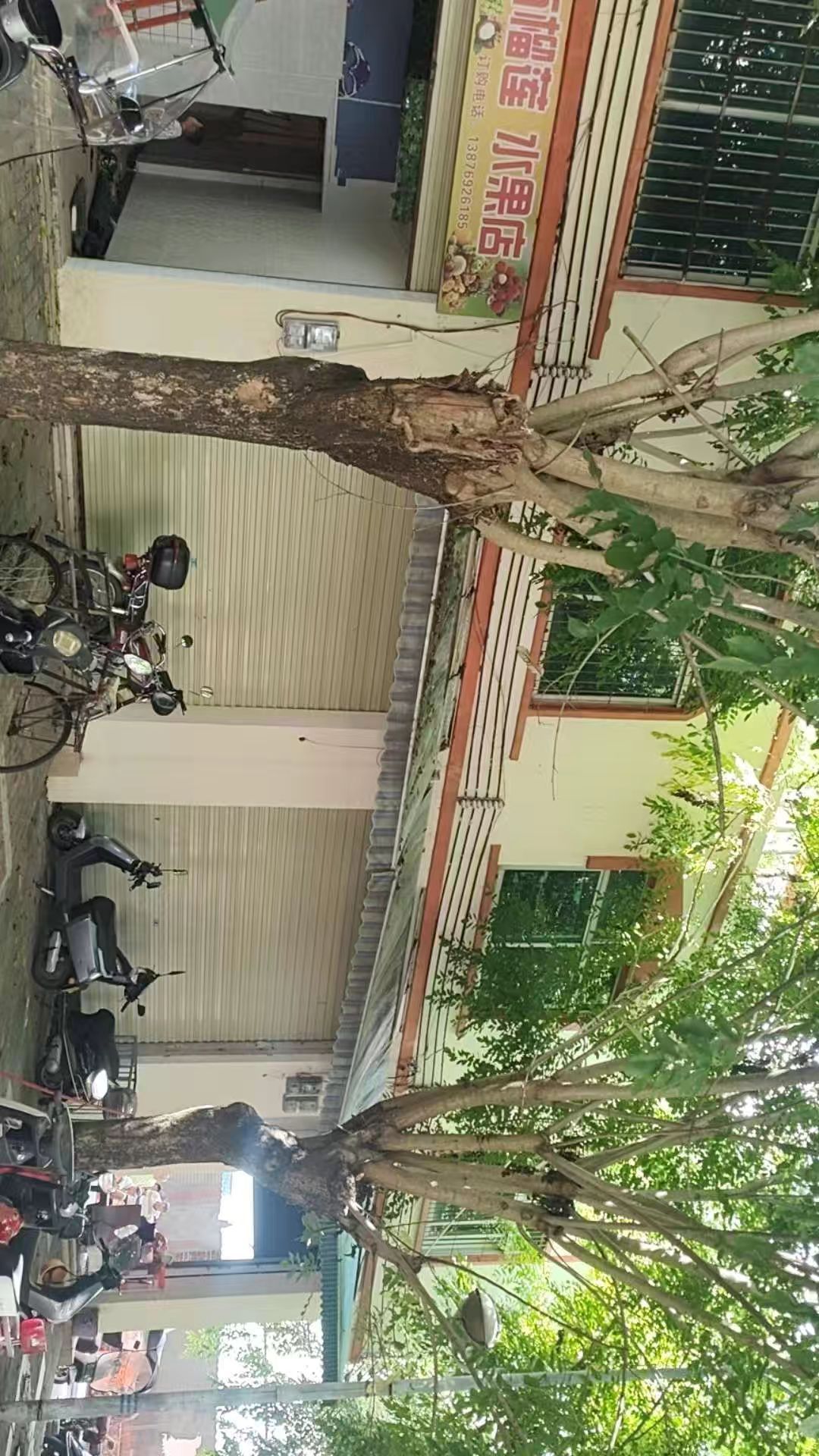 十亩榴莲水果店