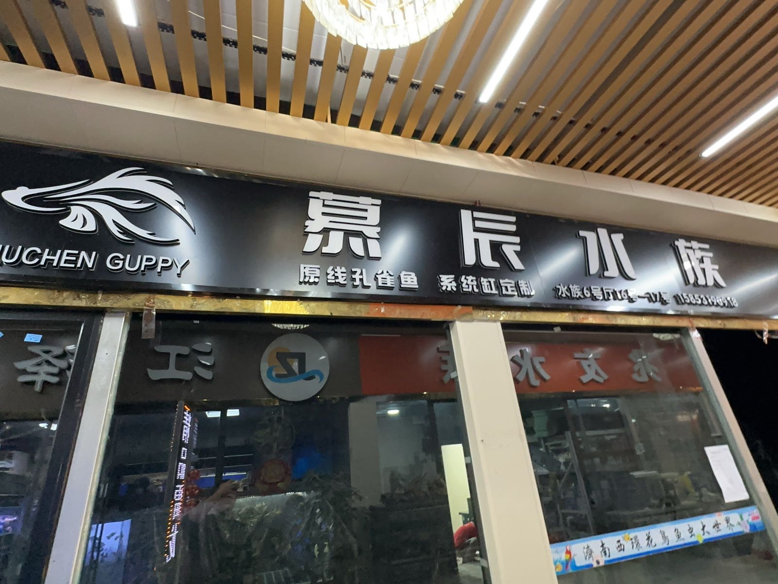 慕辰水族
