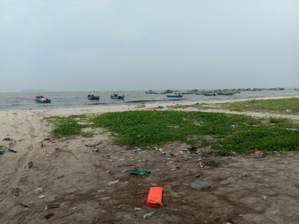 博贺平岚庆生沙滩