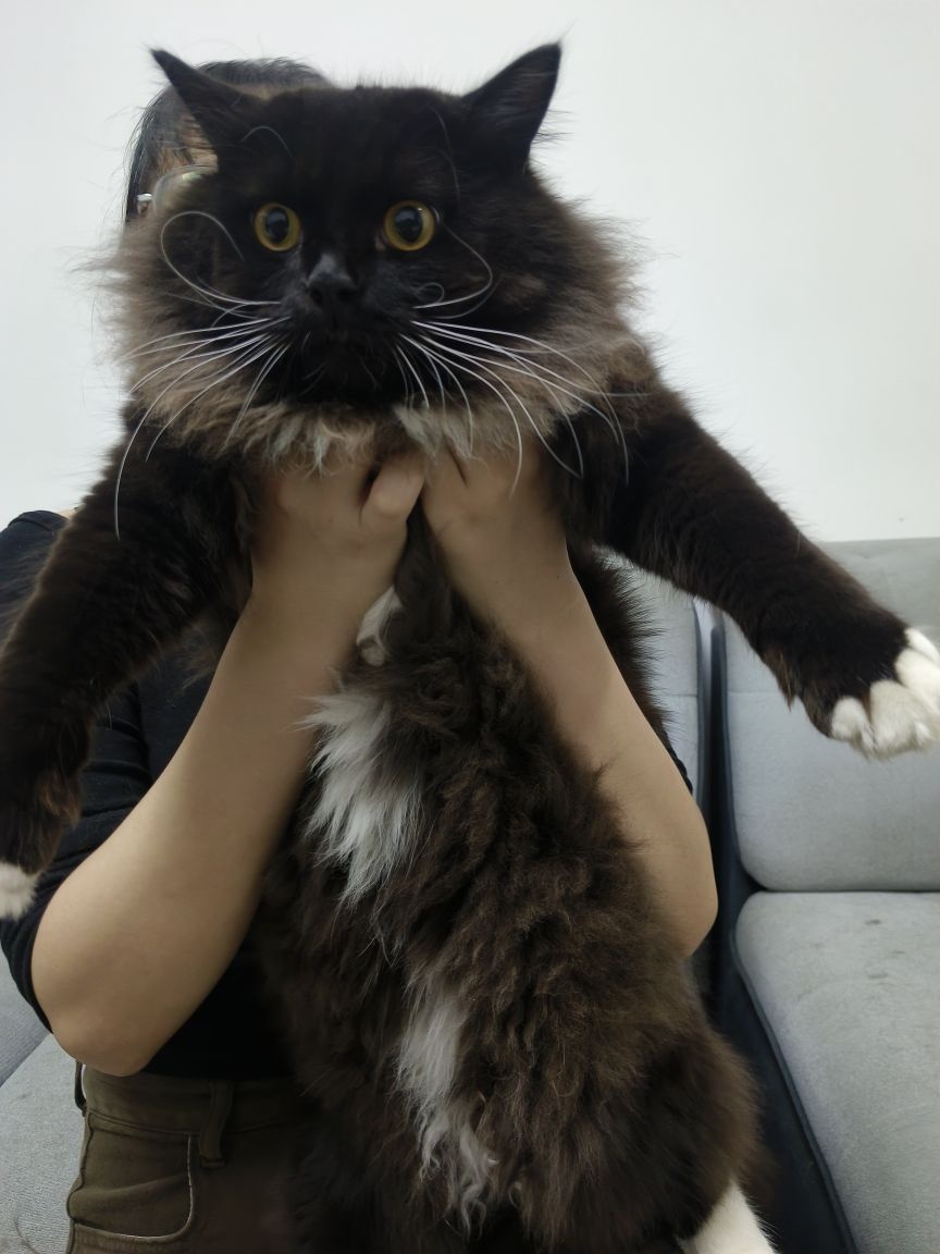 中山市萌宝澡堂24h自助洗护宠物店