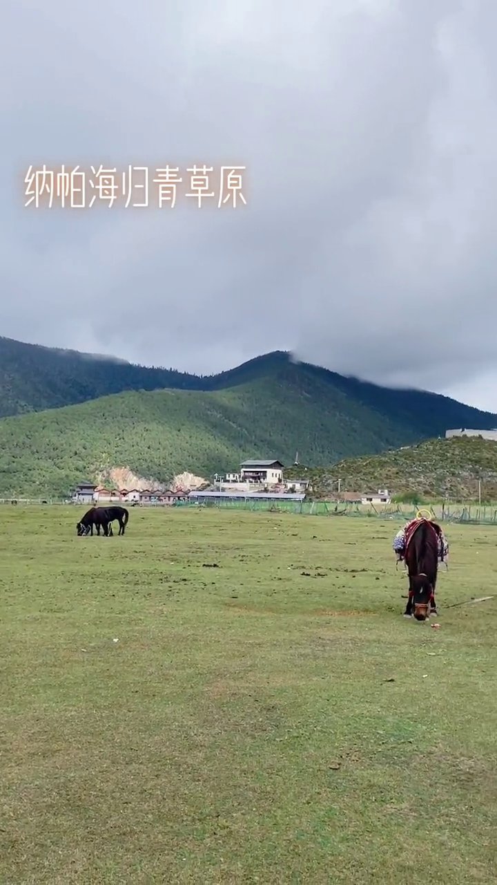 纳帕海旅游景区-兖钦景点