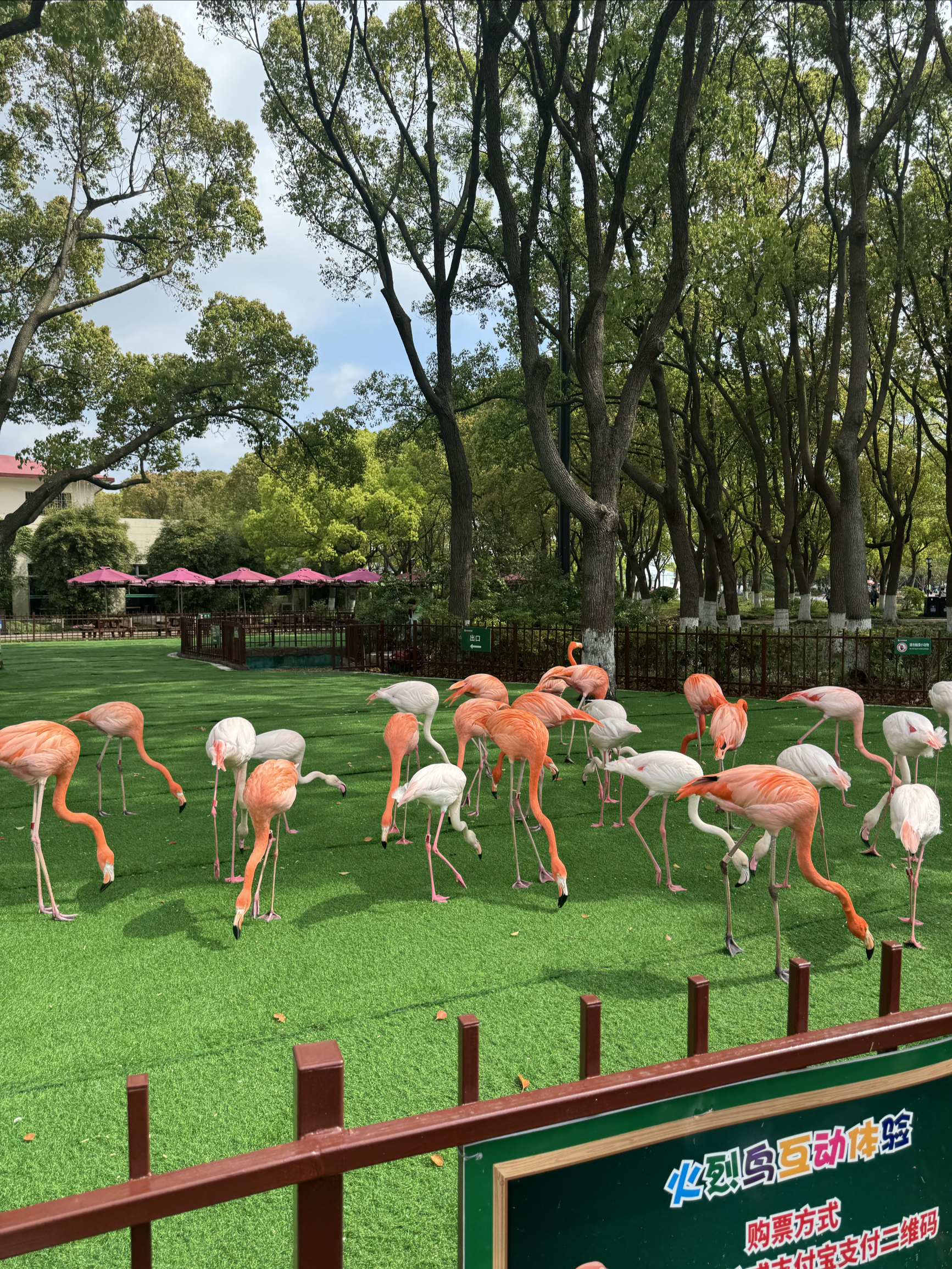 威武野生动物园