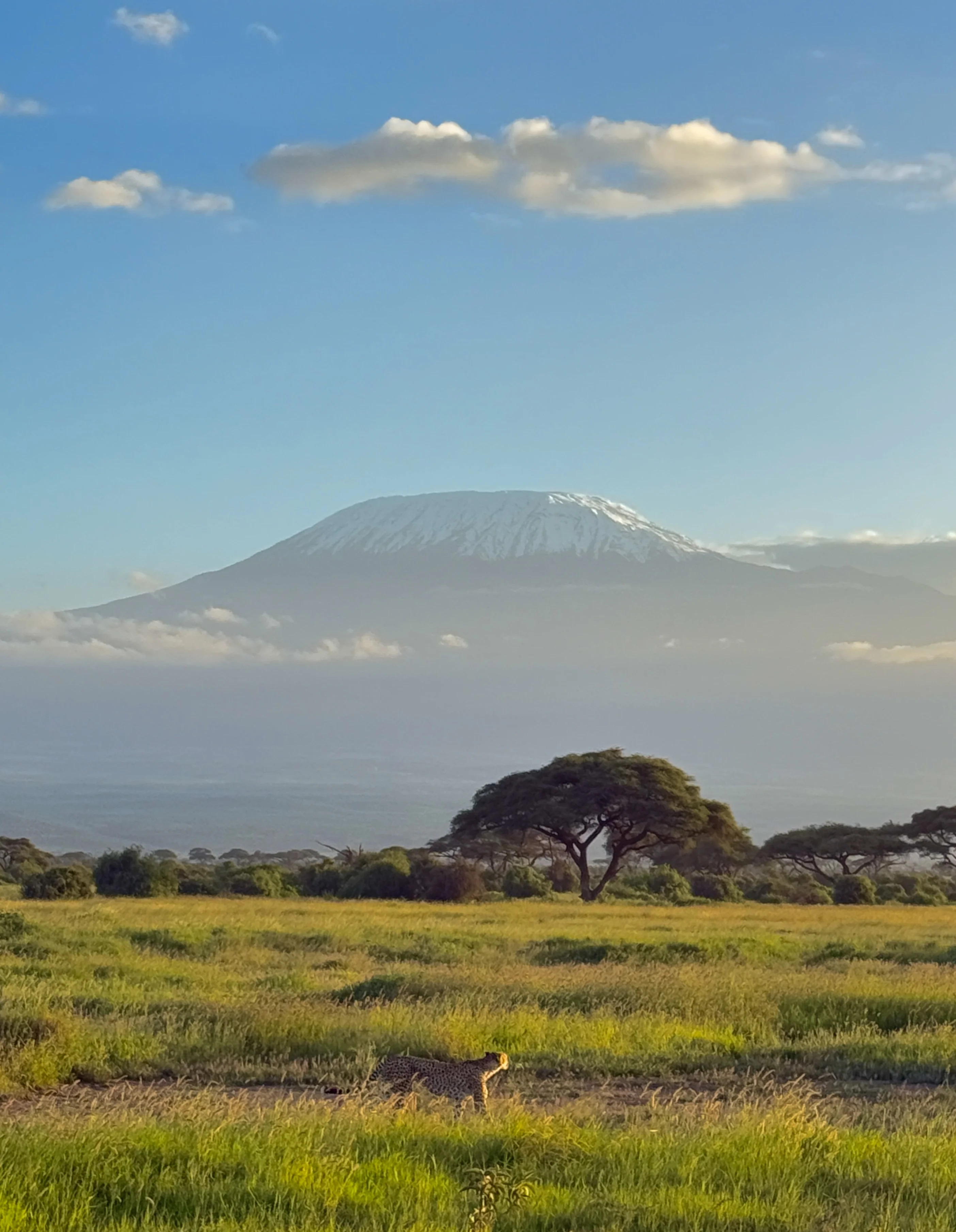 肯尼亚非洲野生动物园