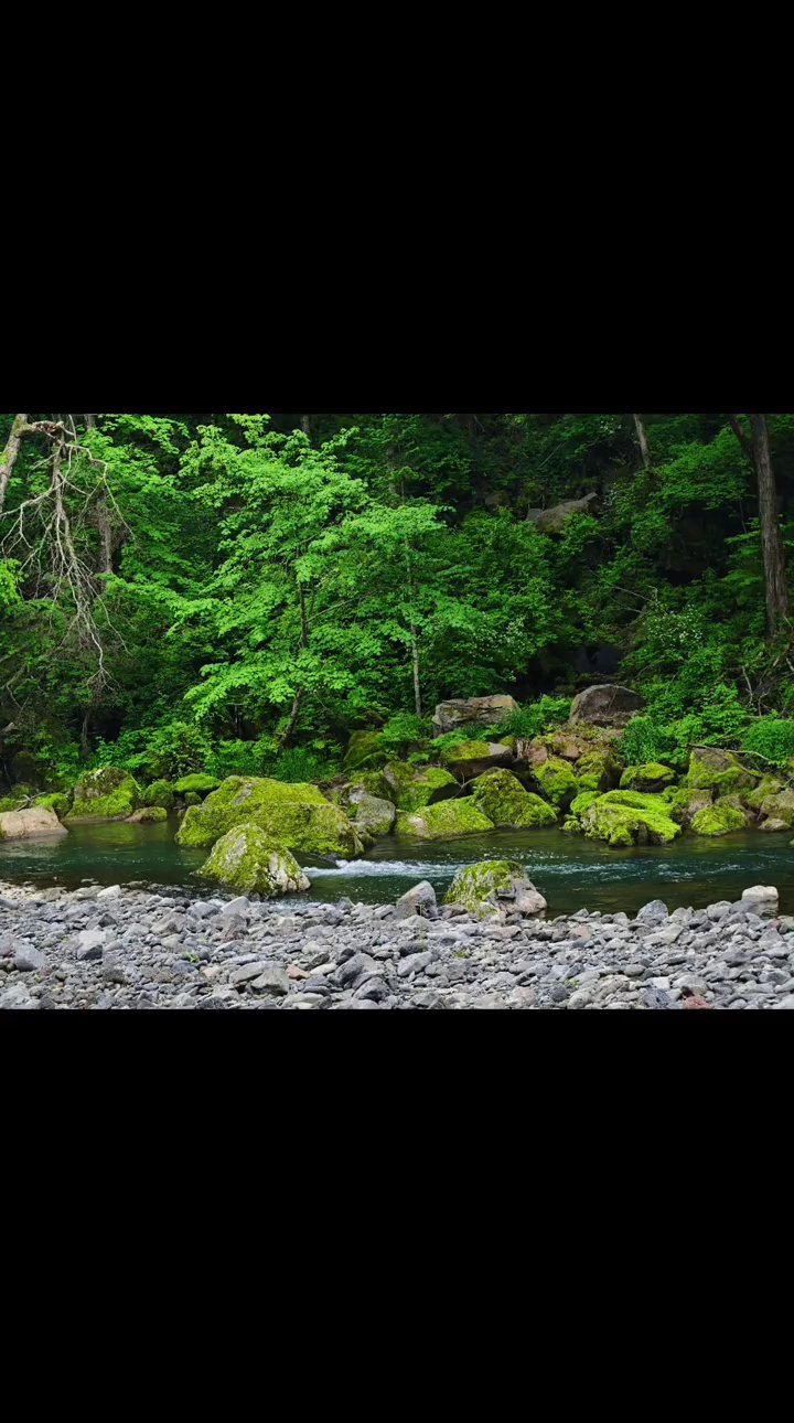 菩提峰景区