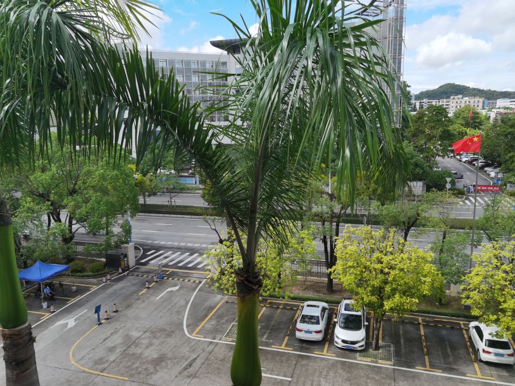 国家税务总局中山市税务局南区税务分局