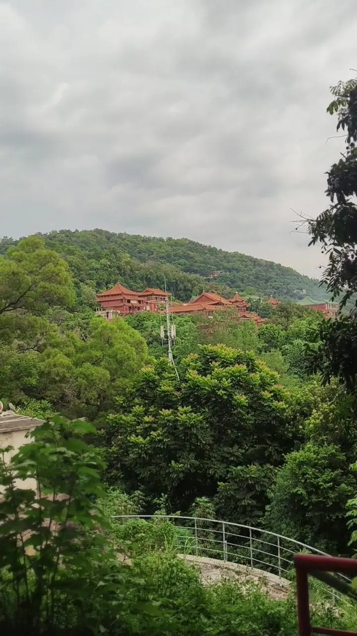 广东揭阳山书斋伯公古庙