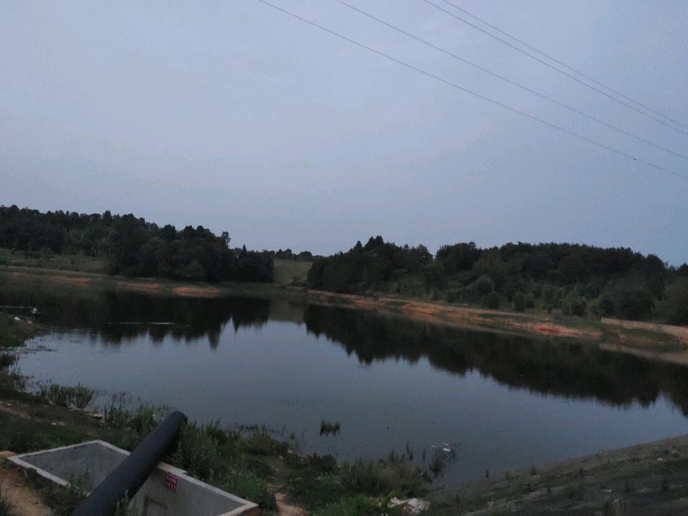 前进水库钓场