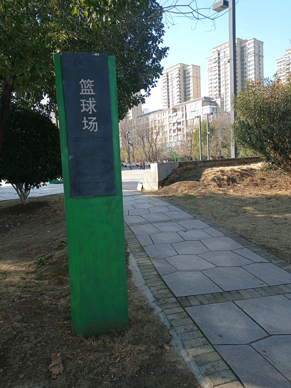 陶冲湖公园-篮球场