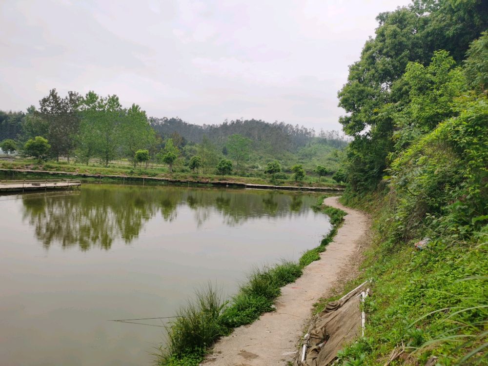 山下钓场