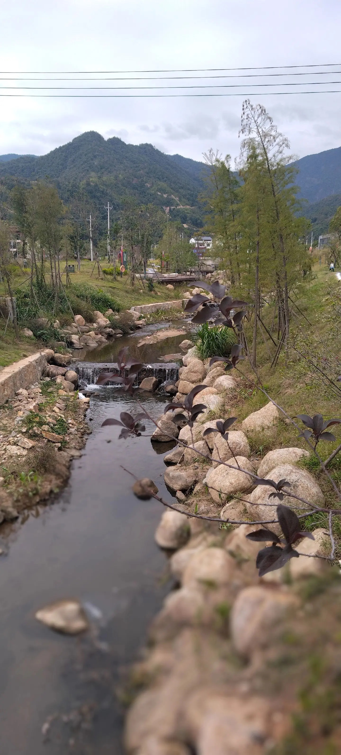姑婆山旅游度假区集散中心