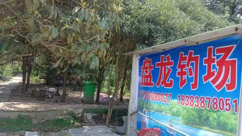 盘龙休闲钓场