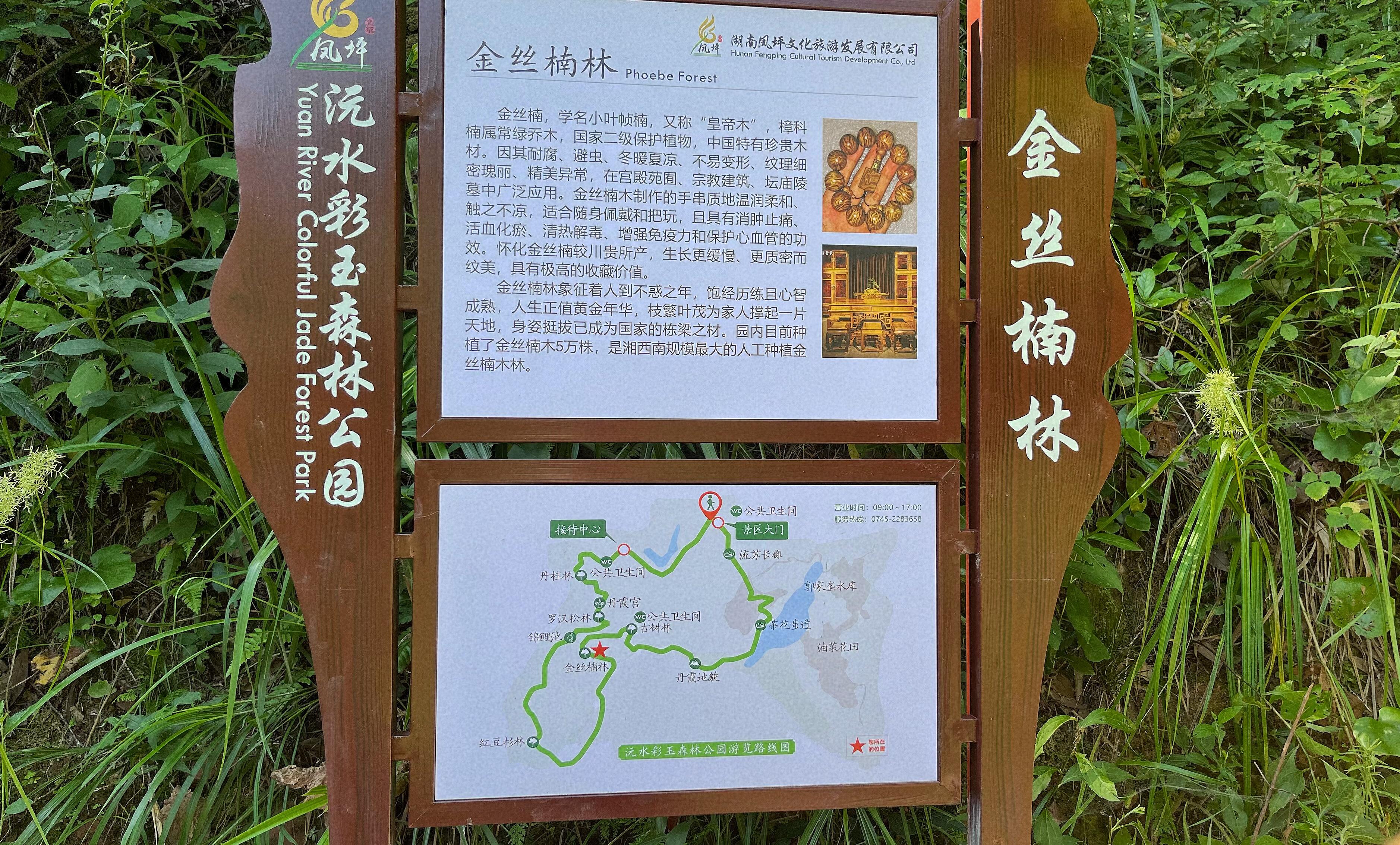沅水彩玉森林公园