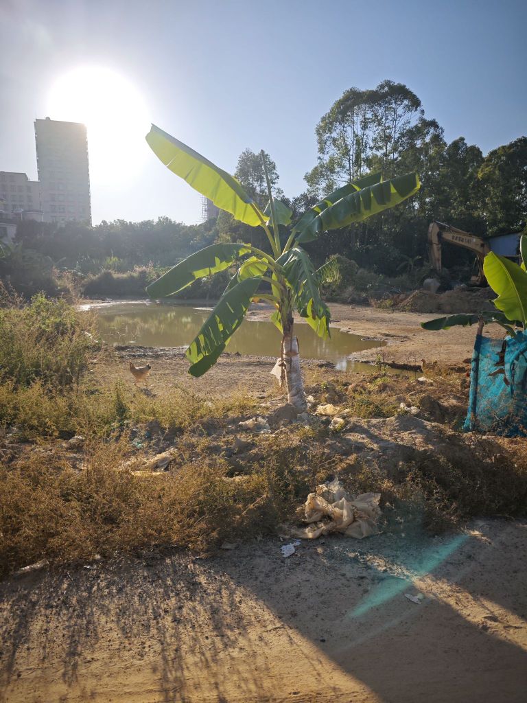 湛江市公安局交通警察支队车管所