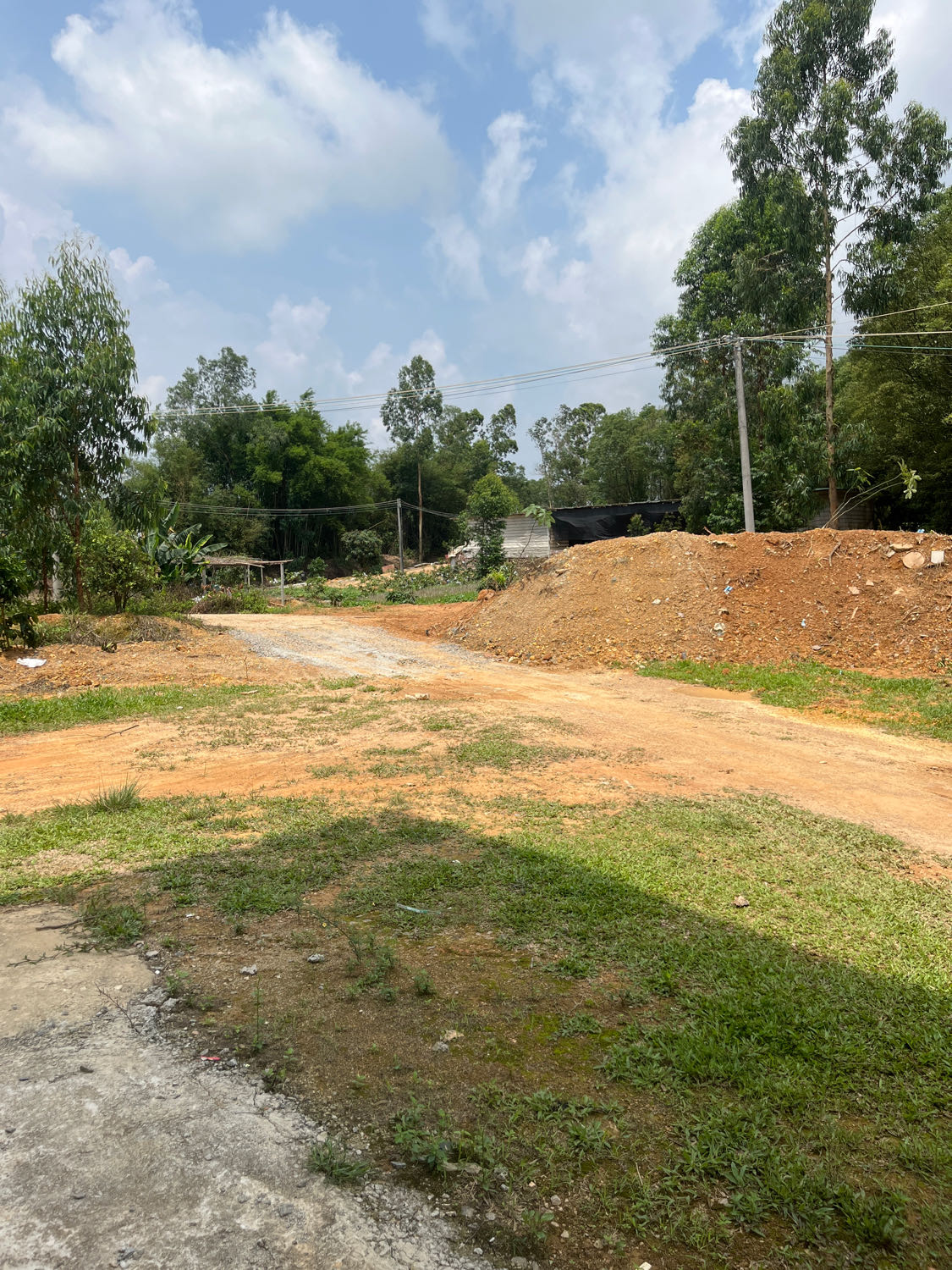广东省茂名市化州市江头村荔枝果园