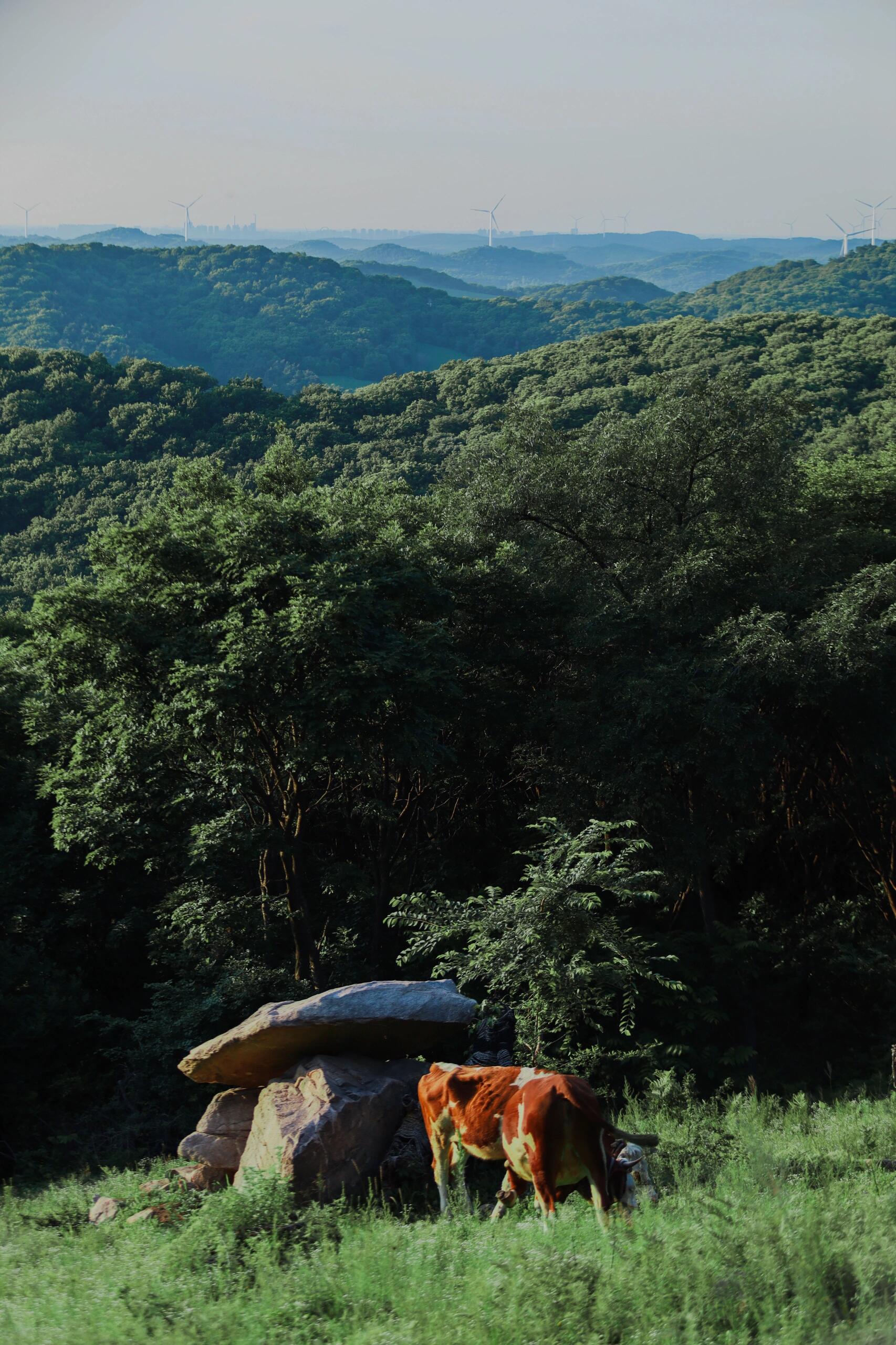 大架山