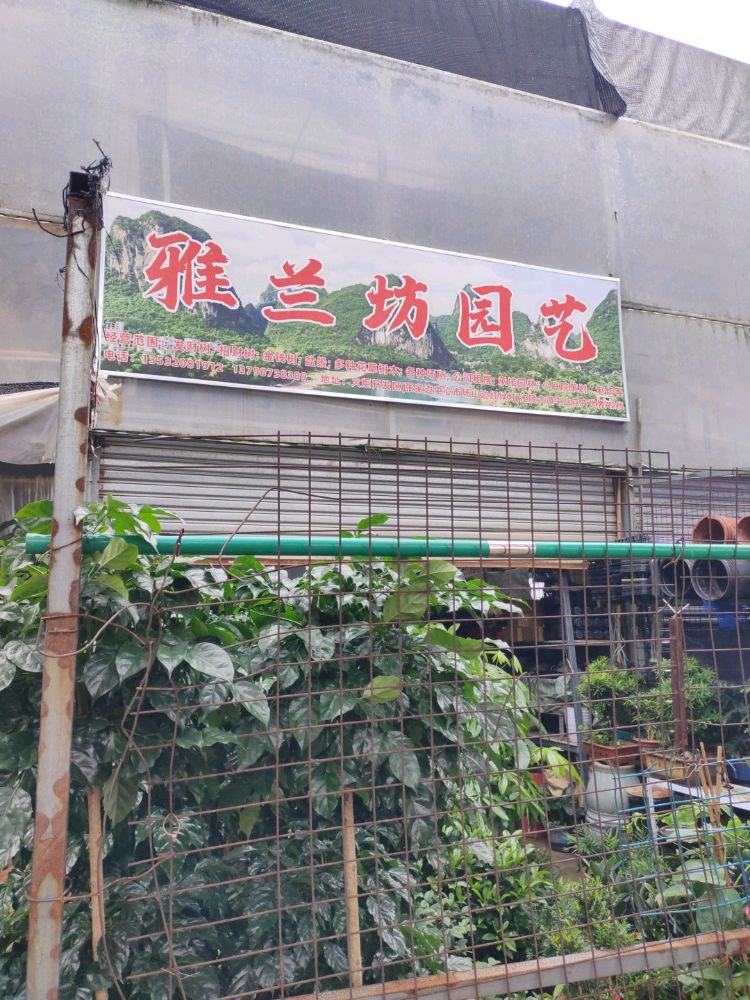 中山花卉世界(康祥路店)