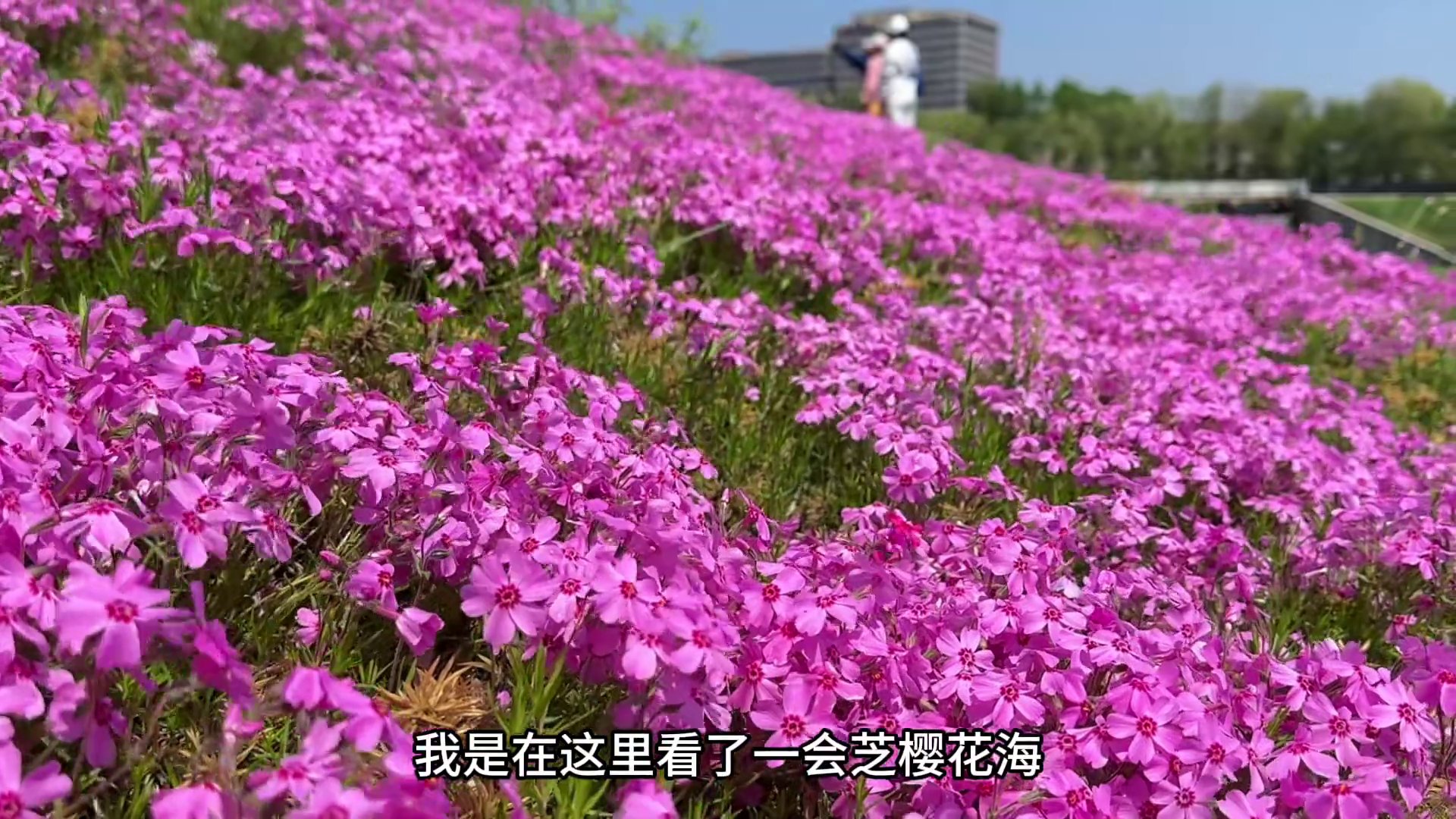 博文湖公园