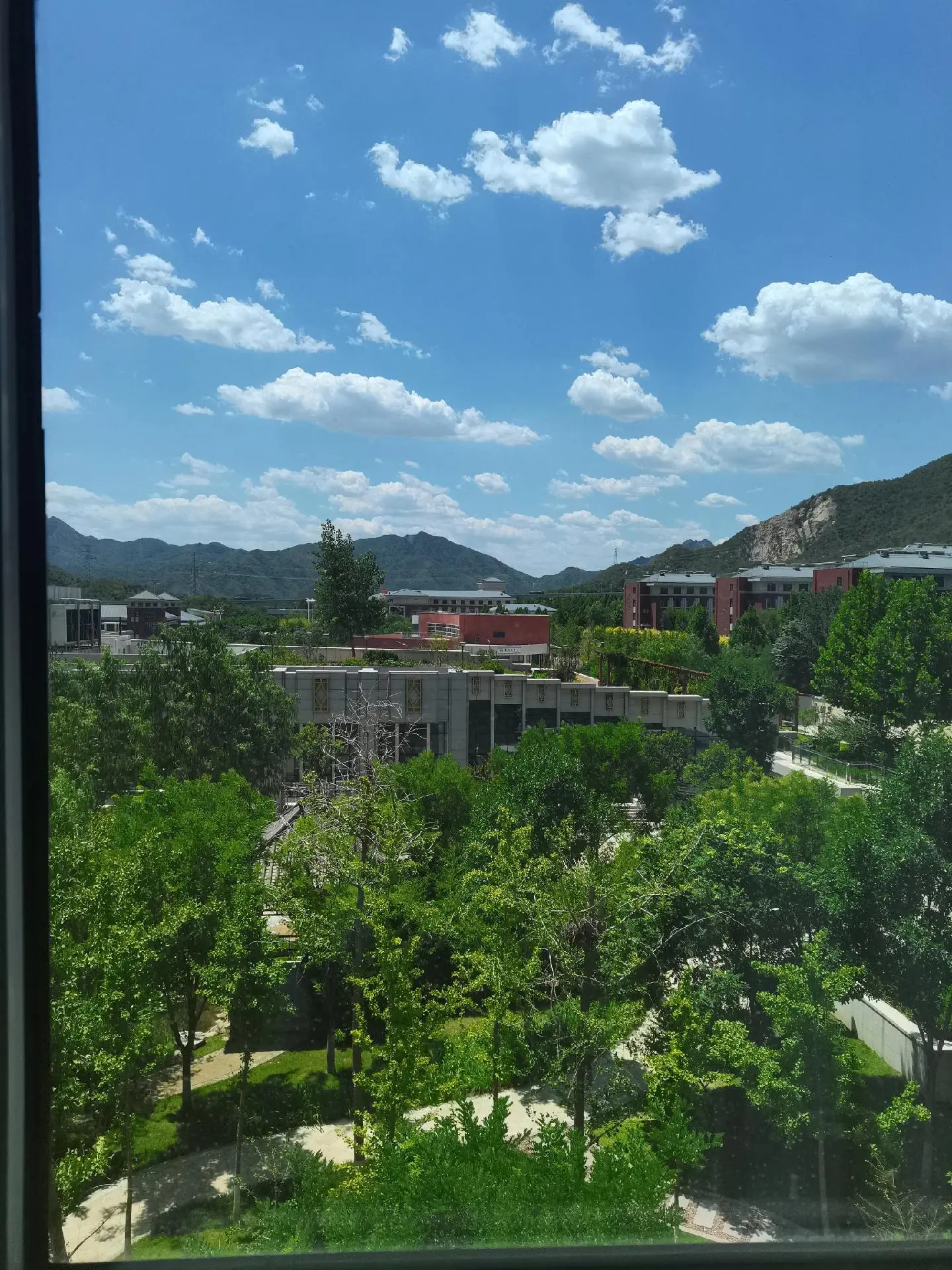 中共石家庄市委党校