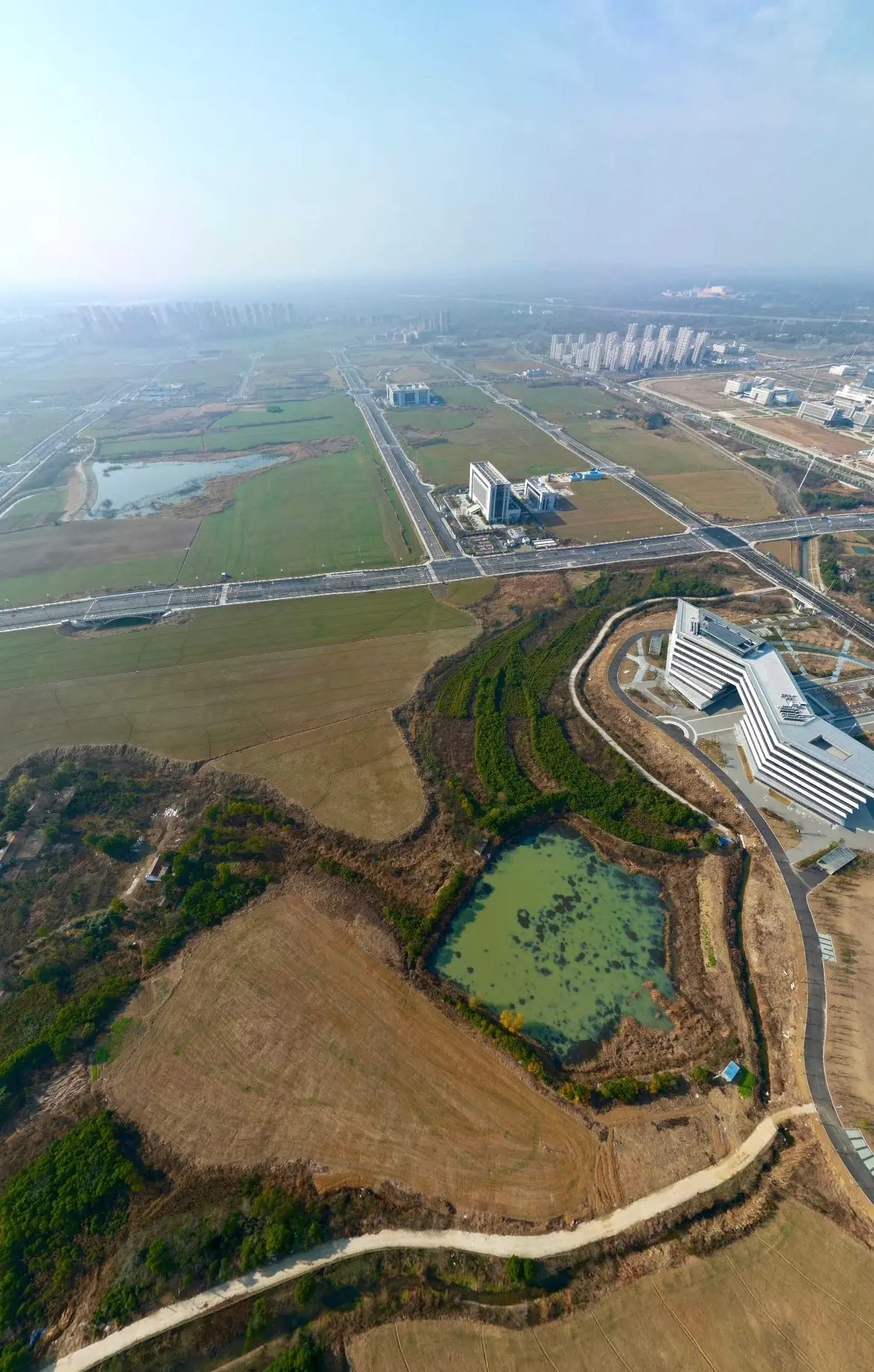 肥西县人民政府政务服务中心