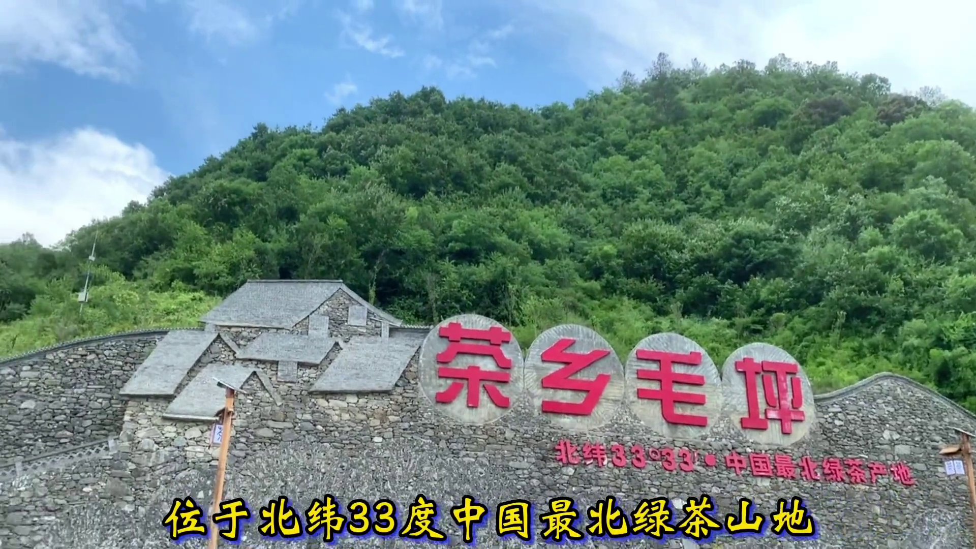 毛坪茶园观光园