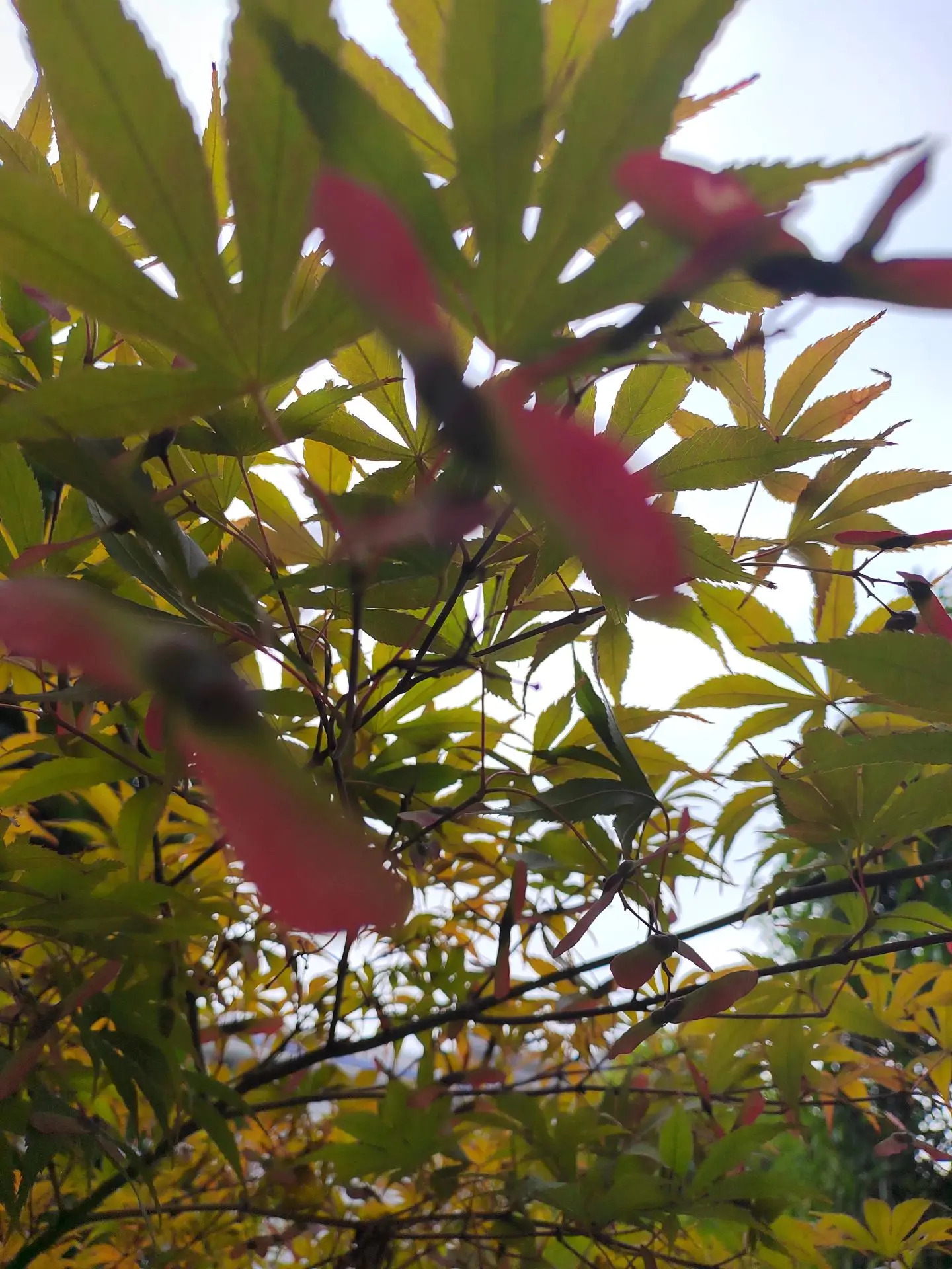 恩施土家族苗族自治州优抚医院