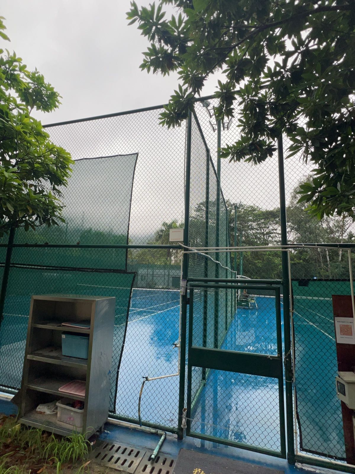 碧岭天成网球场