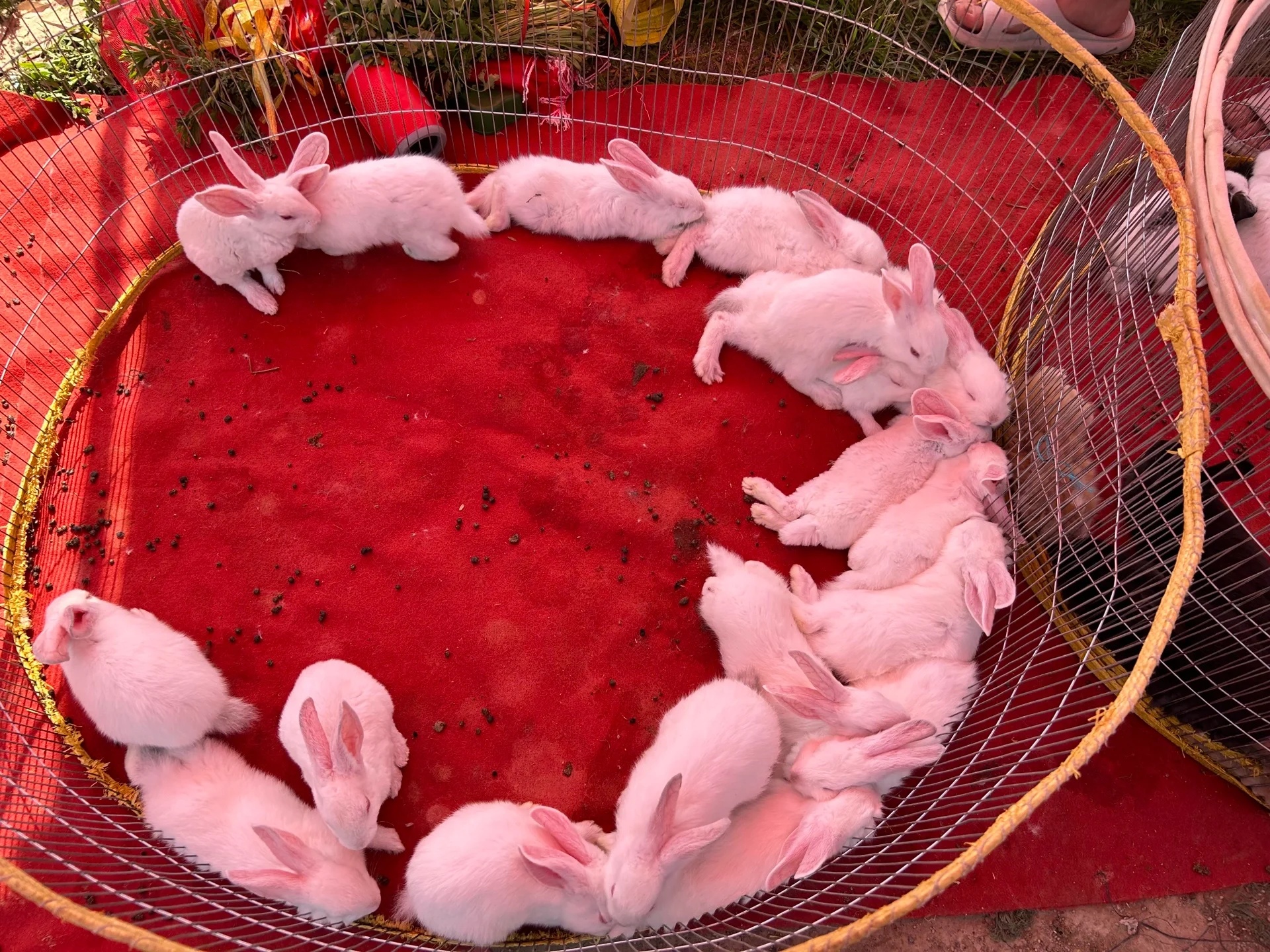 九号地社区文体中心