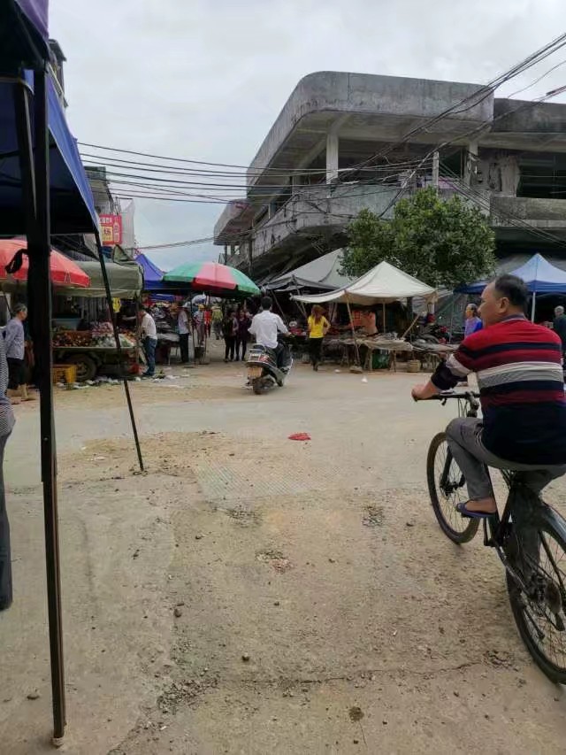 大八镇人民政府