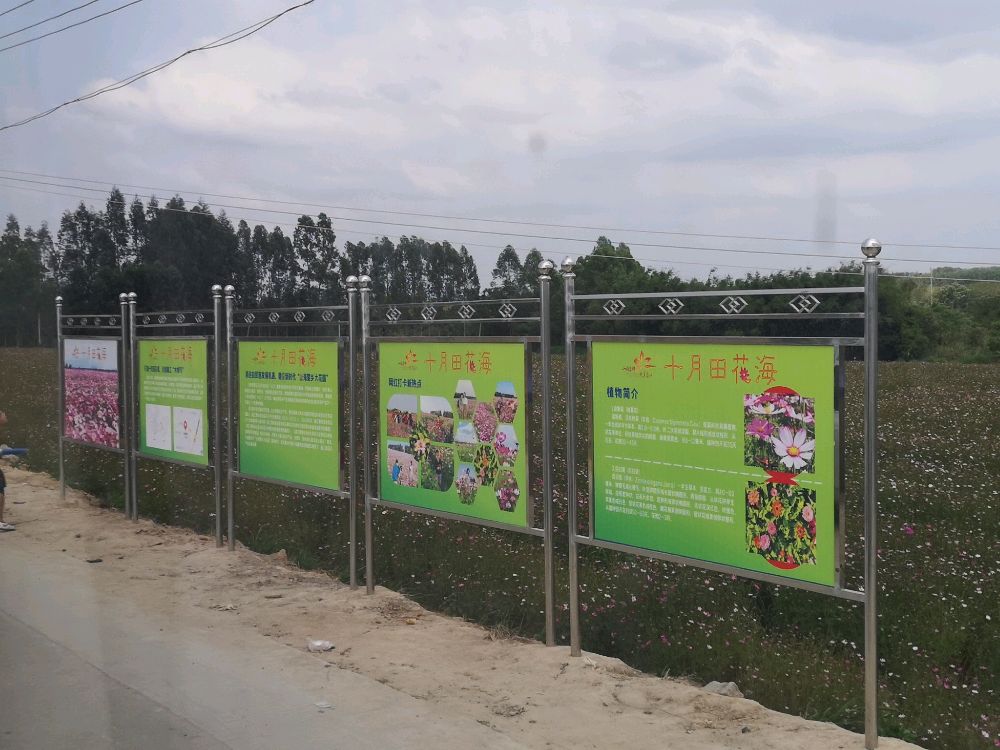 十月田花海