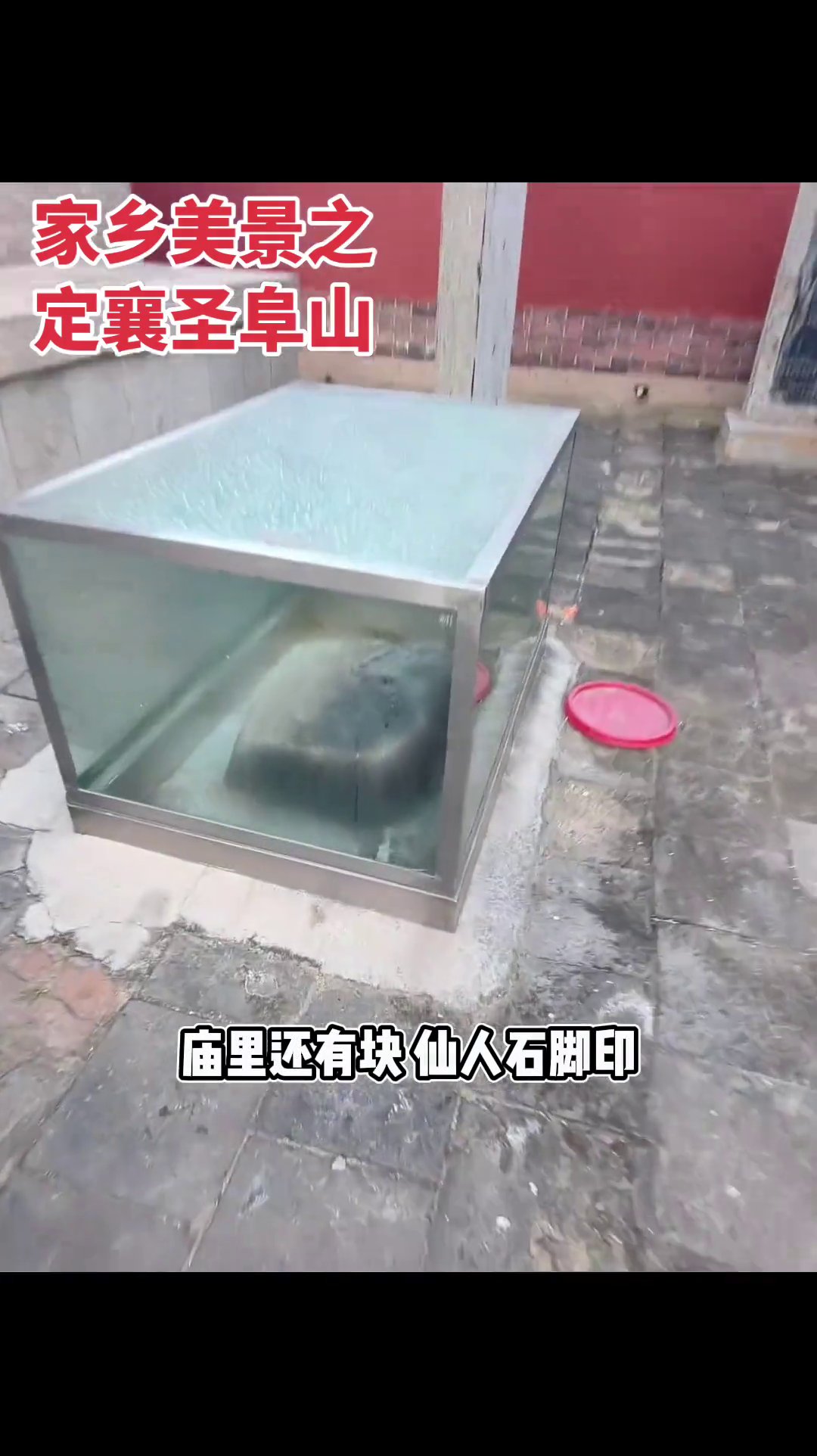 蓝天露营垂钓基地