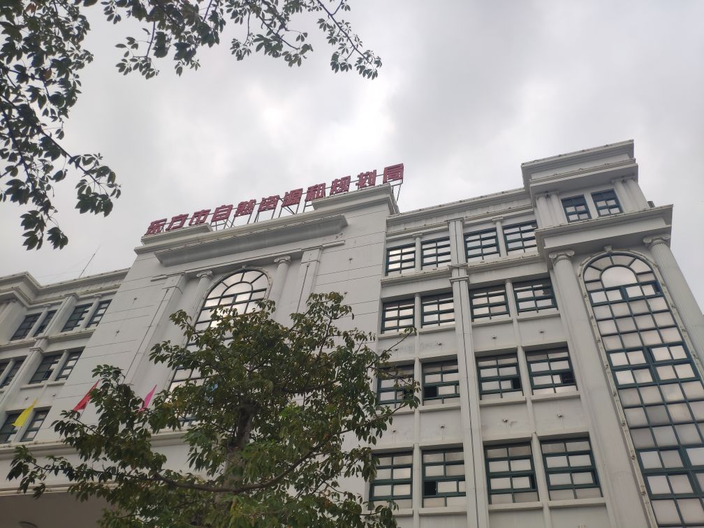 东方市自然资源和规划局