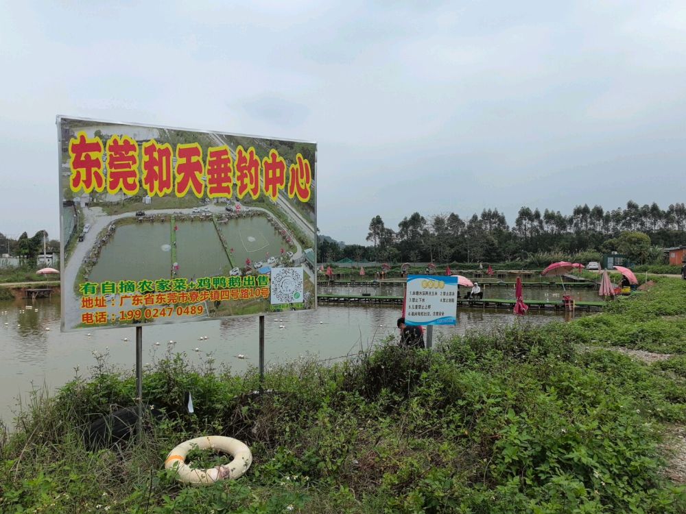 东莞和天垂钓中心