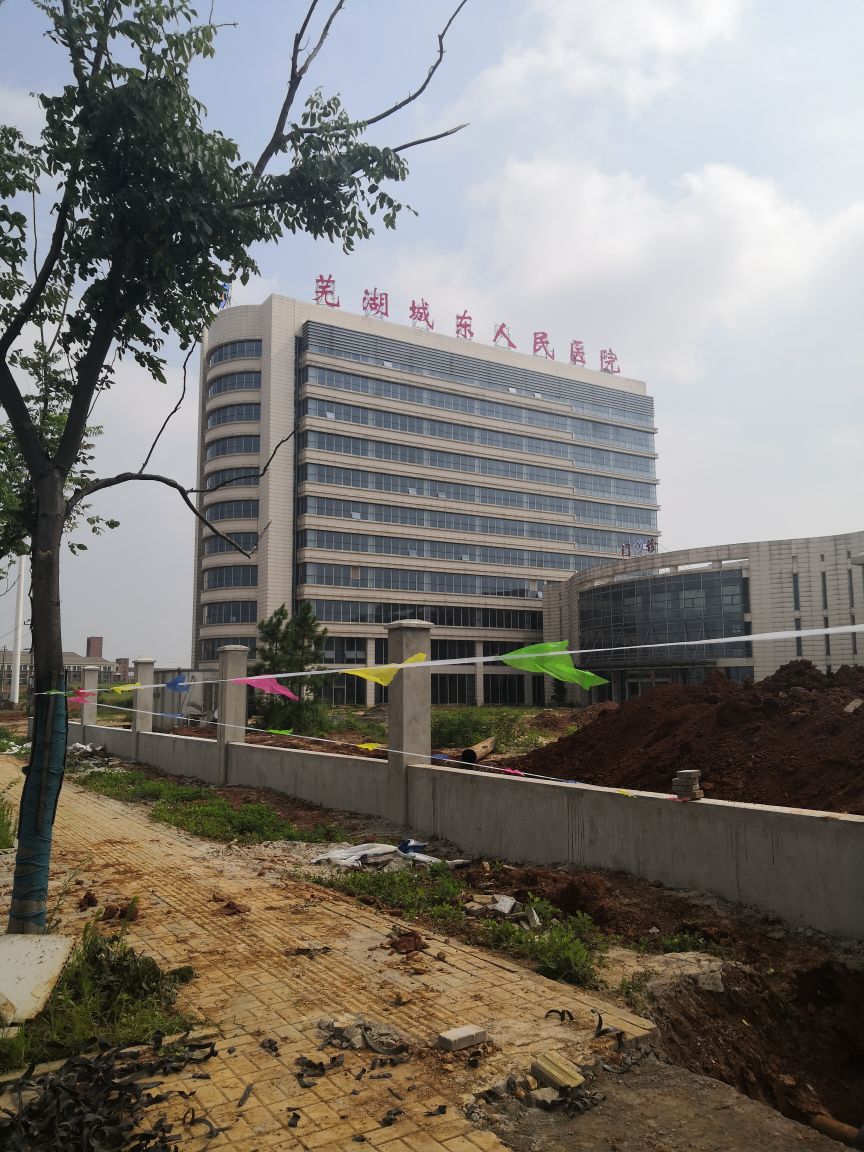 芜湖城东医院