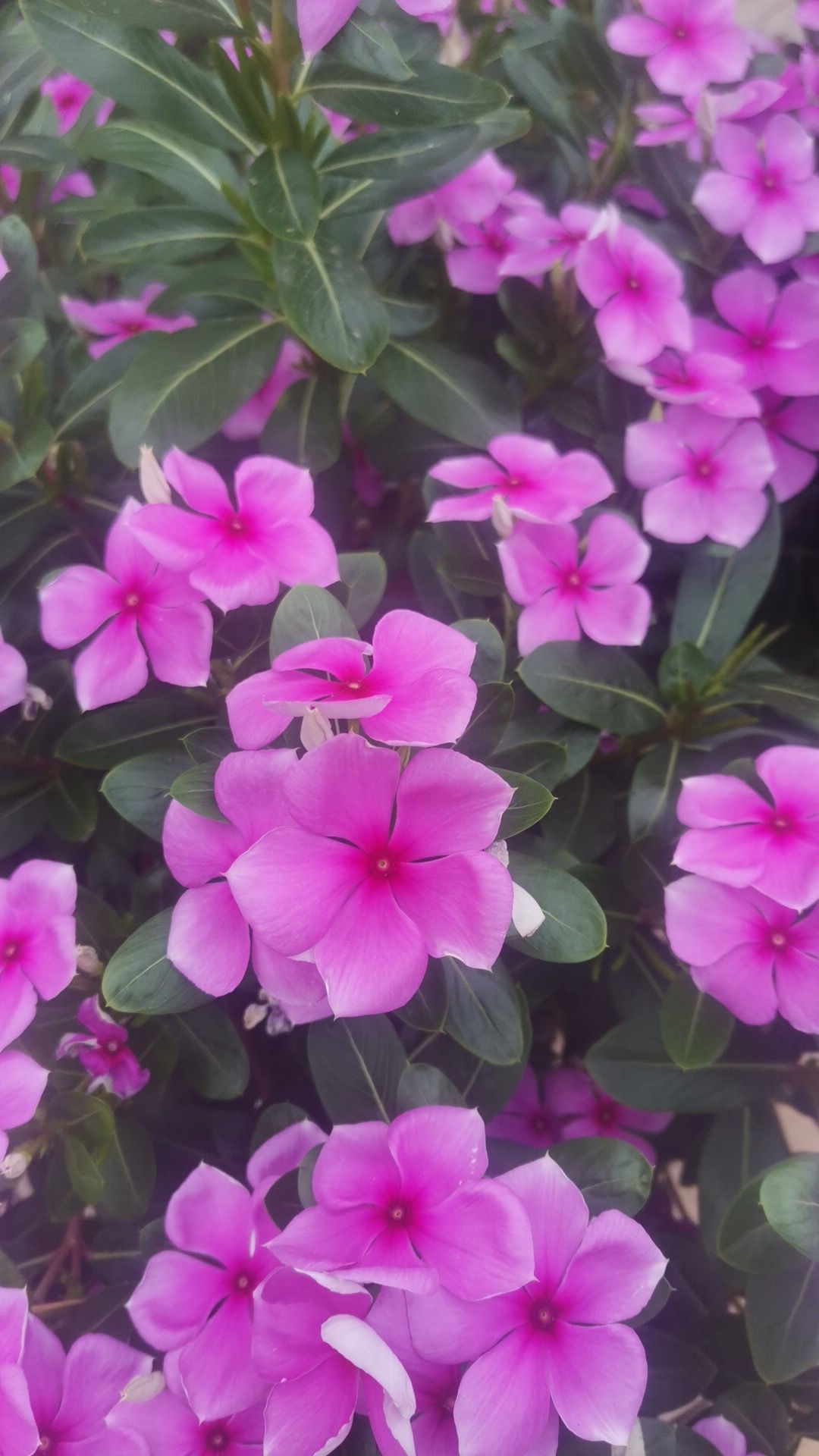 河南省汤阴县宜沟镇人民政府