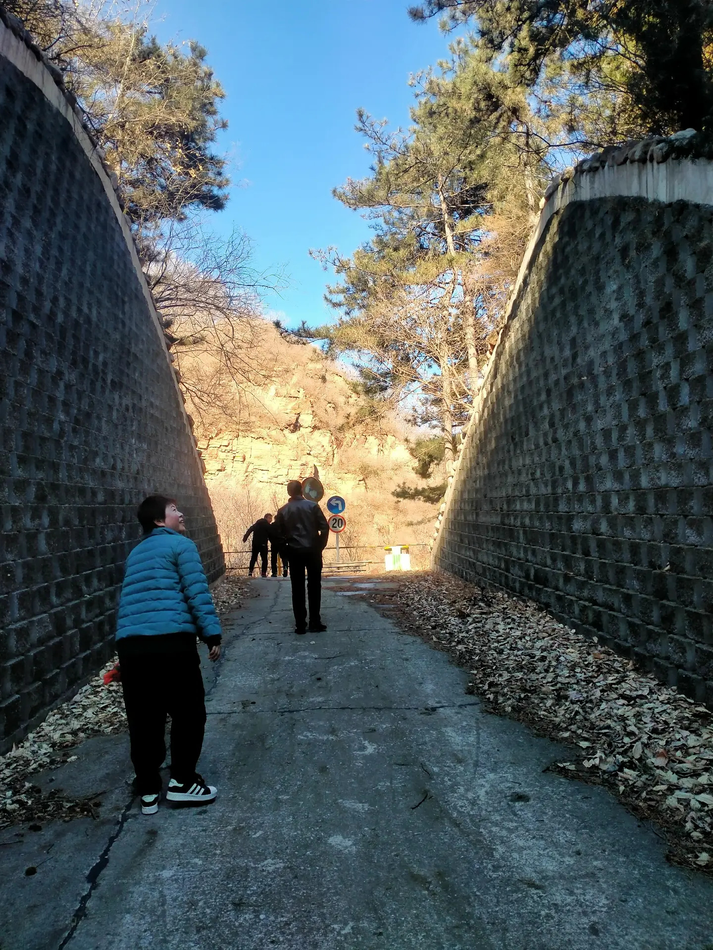 梨花谷山野公园
