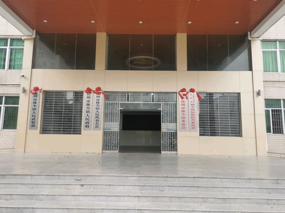 林尘镇人民政府