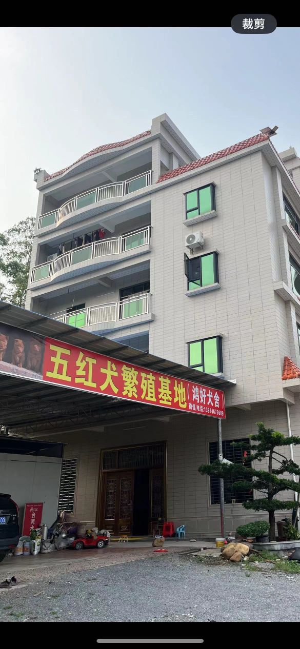 五红犬繁殖基地(鸿好犬舍)