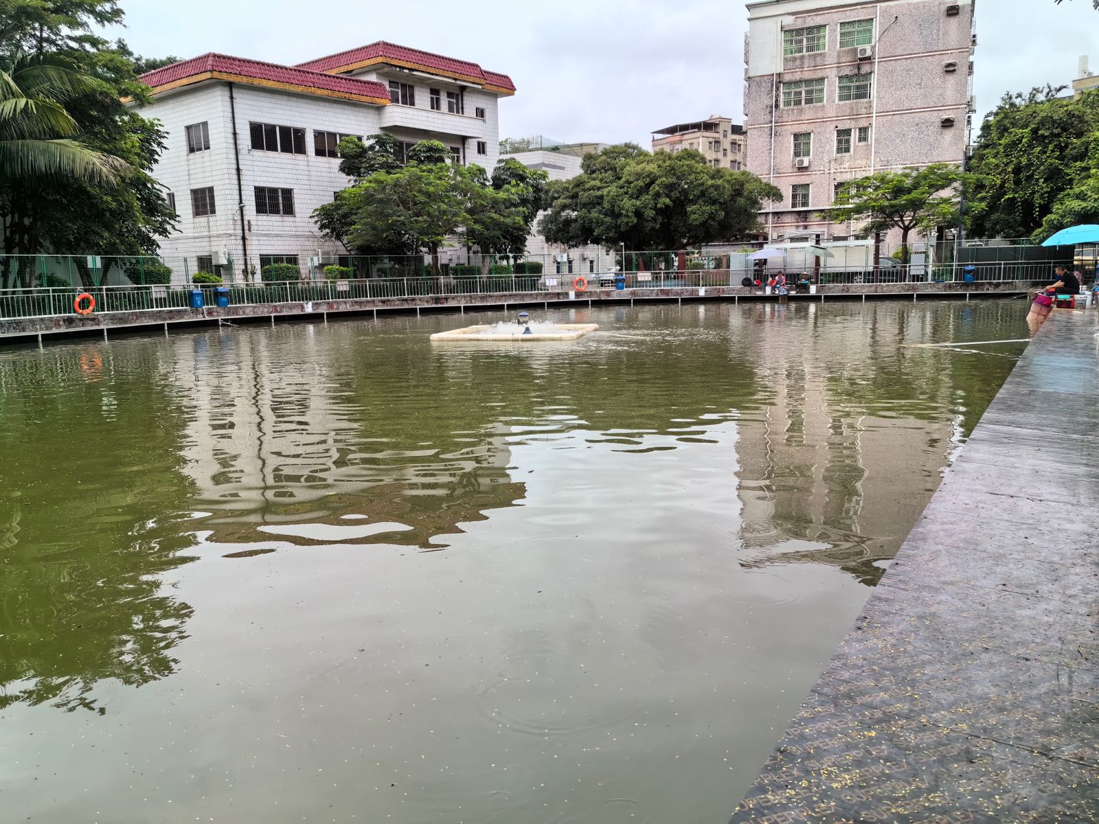 老围九号钓鱼场