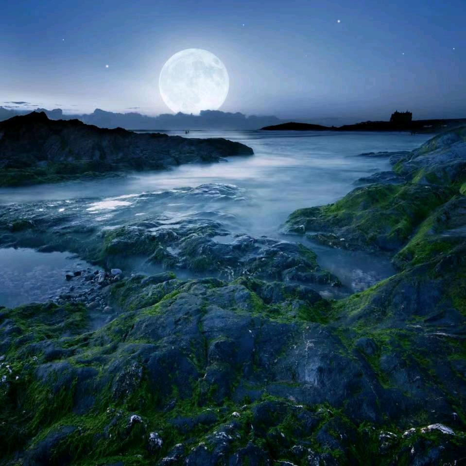 千家镇人民政府