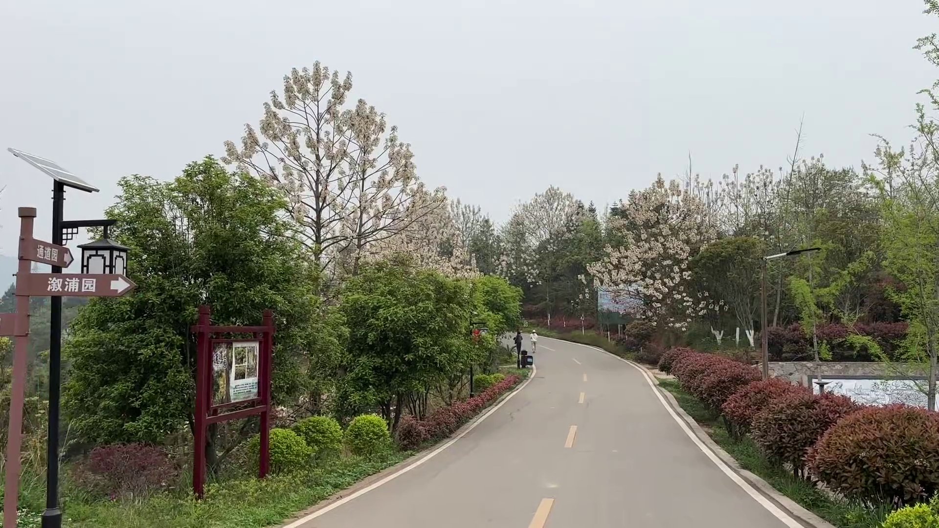 怀化植物博物园
